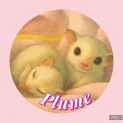 Plumeプロフ必読27.28日発送不可の画像