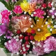 タルト　☆プロフ必読お願いします☆の画像
