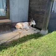 まるこの画像