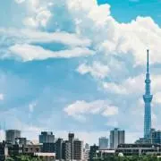 夏（出品中の服全て新品）の画像