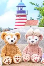 ♬メロディ♫•*¨*•.の画像