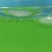 ウルトラ梅の画像