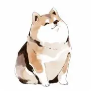 AKIの画像