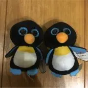 Kazuki