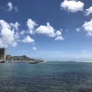 nn発送日確認の画像