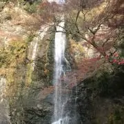 N N Nの画像