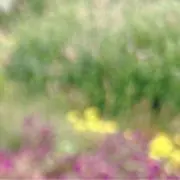 ゆーの画像