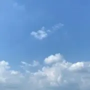 お寿司の画像