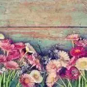 mk❁︎おまとめ割りOKの画像