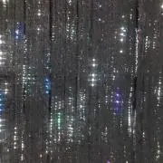 リリィの画像