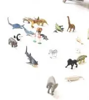 PNYの画像