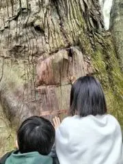 ふわふわの画像