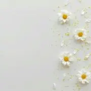 あ☆る