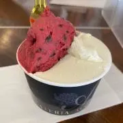 TTの画像