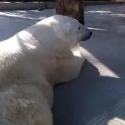 mykの画像