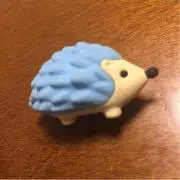✳︎わんこ✳︎の画像