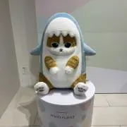 ちむ:)の画像