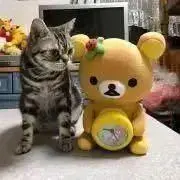 ましろのママ（プロフ読んで♪お知らせ有）の画像