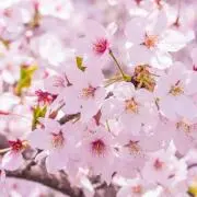 ミルク　※断捨離中&プロフ必読の画像