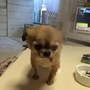 みー