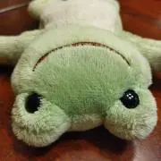 KAERUの画像