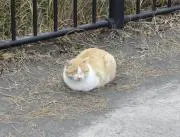 みーなの画像
