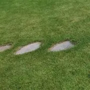 とまと。の画像