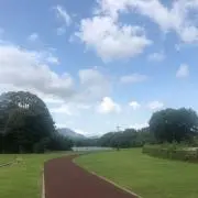 づかんの画像