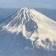 トトロ⭐︎の画像