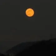 nnnnnnの画像