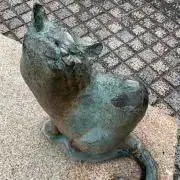 ノッキィの画像