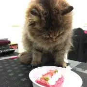 ユエ