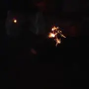 だいこの画像