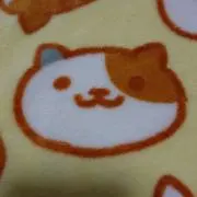 sobaの画像