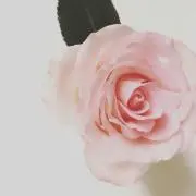 kmkm