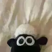 72の画像
