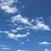 Yの画像