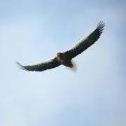 chirutakaの画像