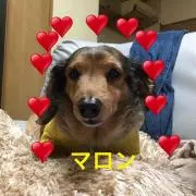マロン