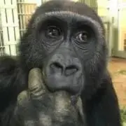ケニー