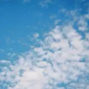 みんと