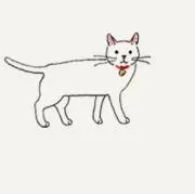野良ねこの画像