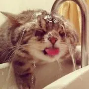 暇人の画像