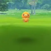 あちゃも