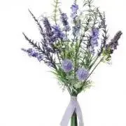 Lavender プロフ必読の画像