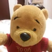 ホヌの画像