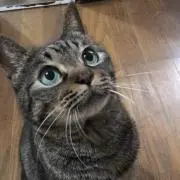 ☆みーたん☆