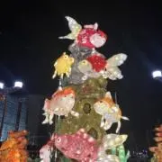 puredream0628の画像