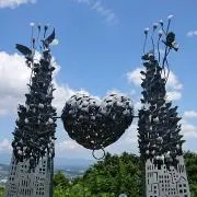 サクラ（発送日、土、日、祝）の画像