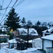 Tamakiの画像